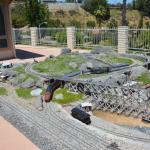 Tortoise_026 (June 17, 2017)